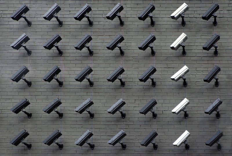 IP Cameras